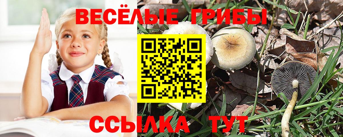 Псилоцибиновые грибы ЛСД  Вход с VPN  Ирбит  Псилоцибиновые грибы MAGIC MUSHROOMS 